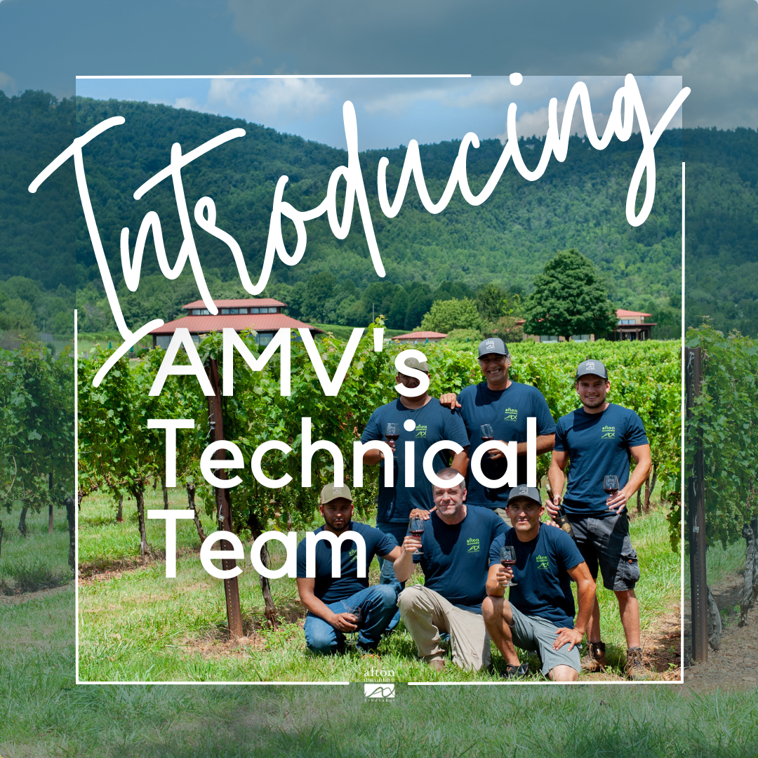 Introducing AMV's Technical Team