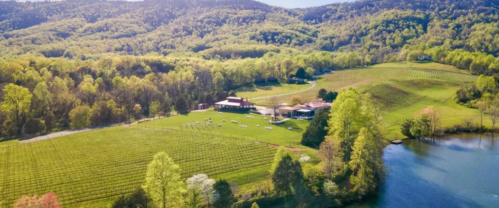 Aerial view of Afton Vineyard.