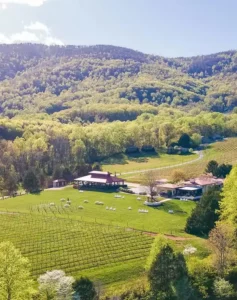 Aerial view of Afton Mountain Vineyards complex with rows of grapevines, a pavilion, and buildings against a backdrop of green, wooded mountains.