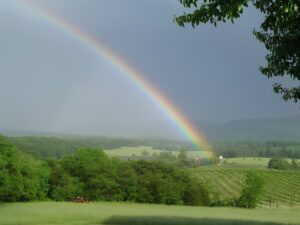 Six Steps for Planning a Perfect Virginia Wine Country Weekend.