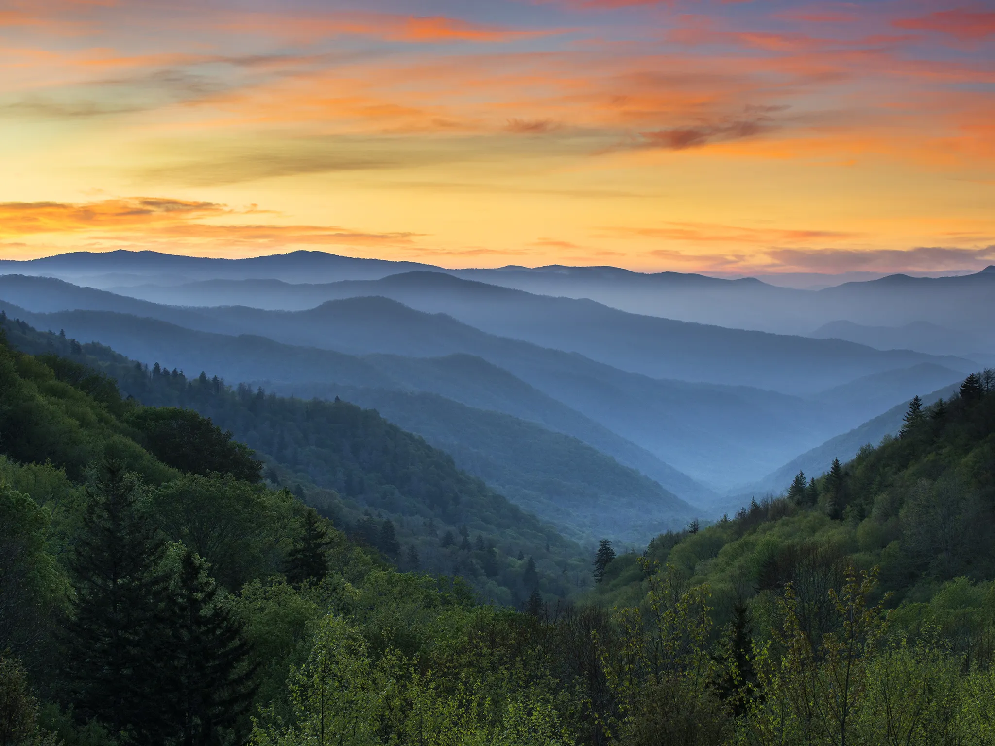 Image may contain Nature Outdoors Mountain Mountain Range Fir Tree Abies Plant Scenery and Countryside.